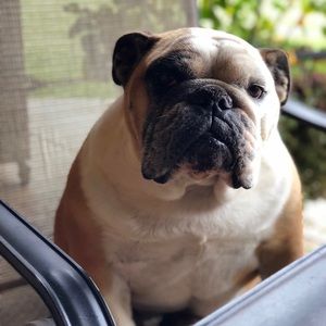 Meet your Posher, Cooper